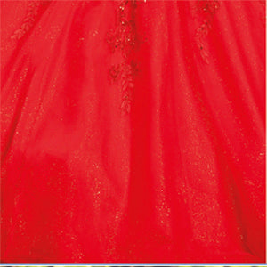Vestido de XV Años 1898 - 5
