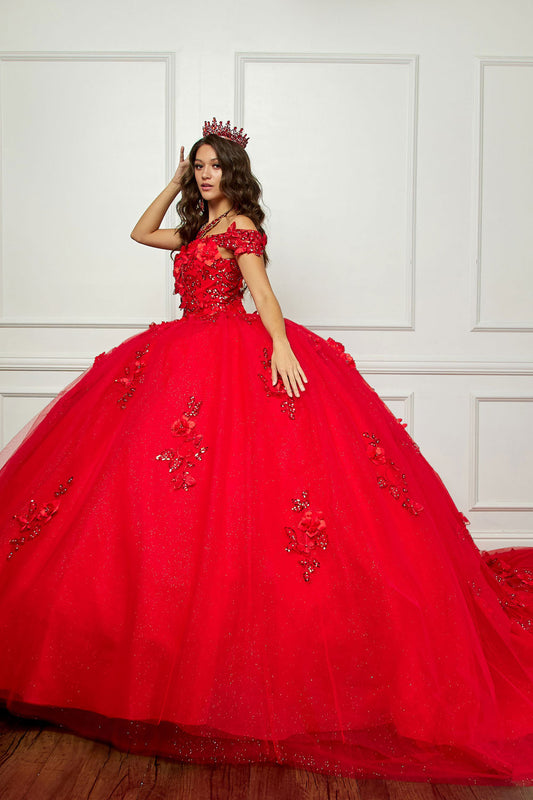 Vestido de XV con mariposas y cola larga en talla plus PQ1028
