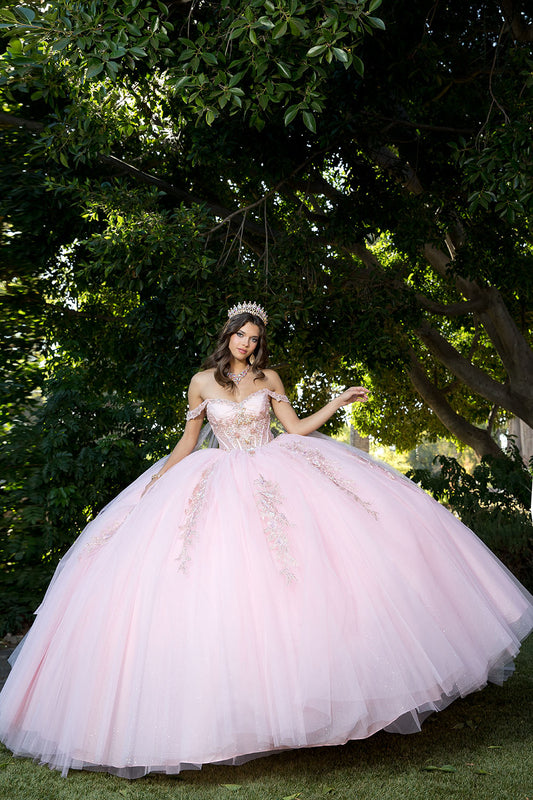 Vestido de XV con flores 3D y capa de alas en talla plus PQ1061