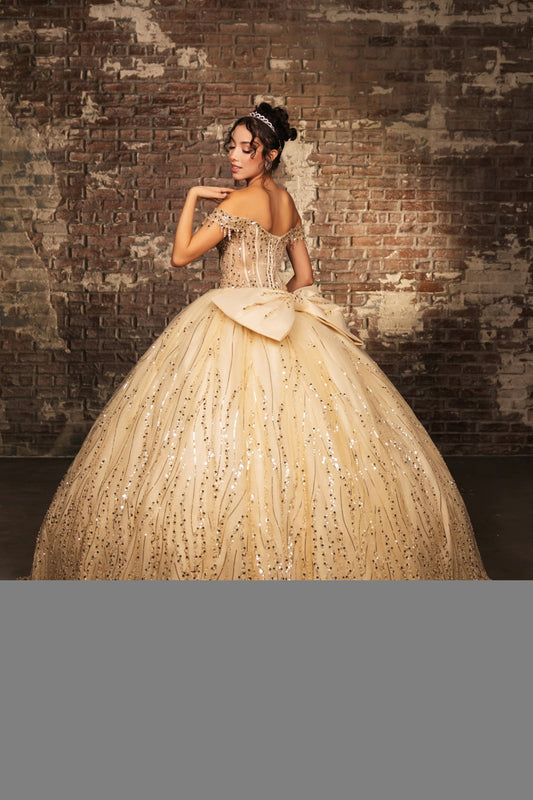 Vestido de XV Años Layla K LK264