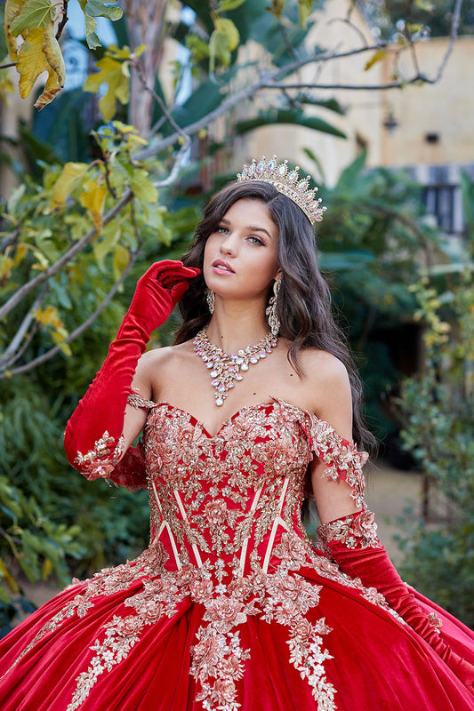 Vestido de XV de terciopelo con mariposas de lentejuelas PQ1038