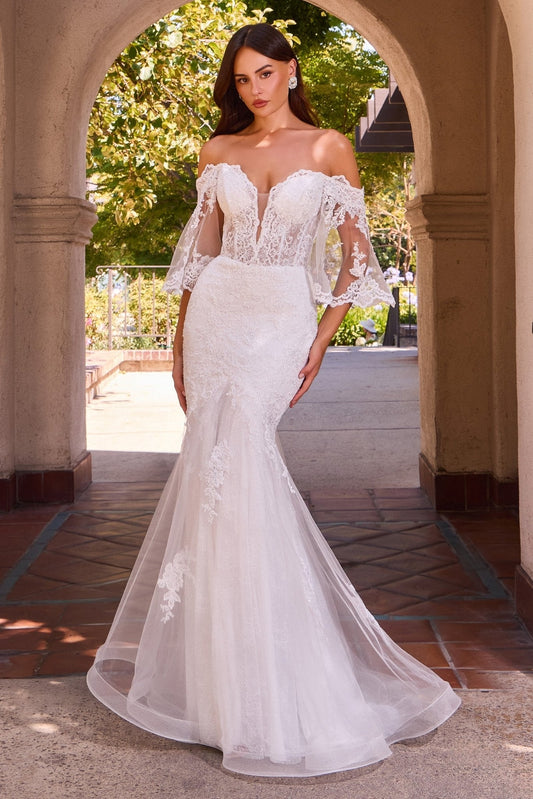 Vestido de novia de encaje bordado con corset transparente CD659W